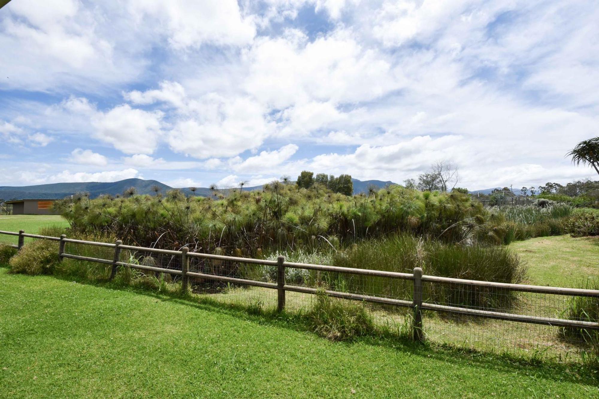 Tenikwa Wildlife Centre & Spa Plettenberg Bay Exteriör bild
