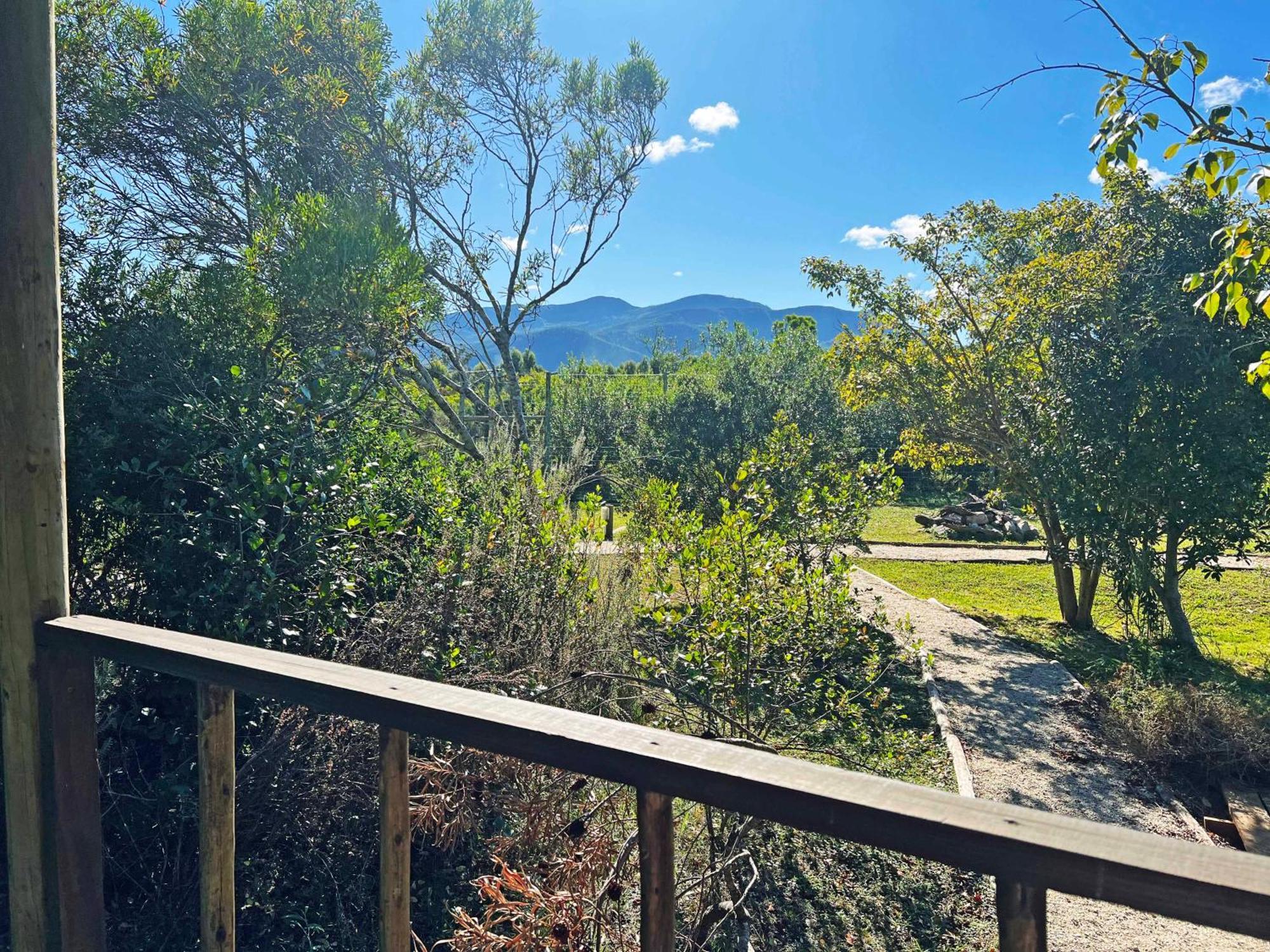 Tenikwa Wildlife Centre & Spa Plettenberg Bay Exteriör bild